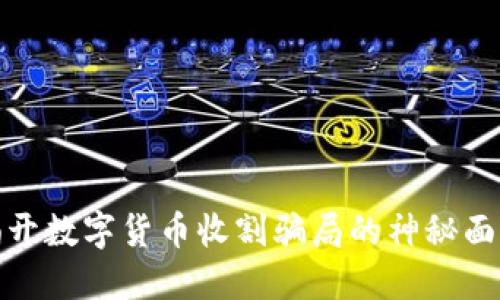 揭开数字货币收割骗局的神秘面纱