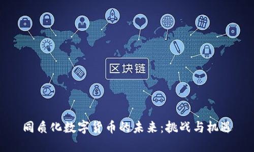 同质化数字货币的未来：挑战与机遇