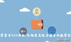 数字货币BCH升级：迈向更高效与安全的