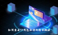 如何查看TP钱包大佬的持币地址