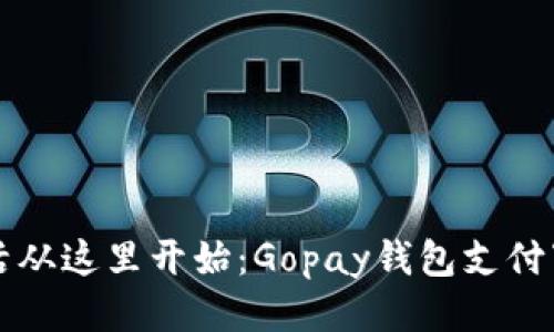 便捷生活从这里开始：Gopay钱包支付下载指南