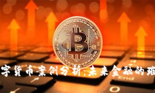 印度数字货币案例分析：未来金融的璀璨之路