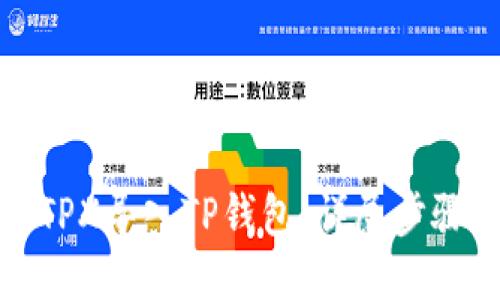 如何将TPX导入TP钱包：详尽步骤与技巧