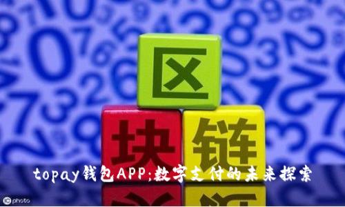 topay钱包APP：数字支付的未来探索