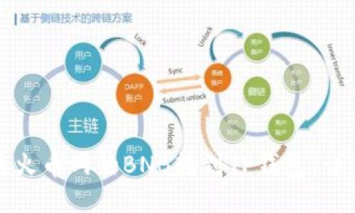 如何将火币网的BNB转到TP钱包:详细指南