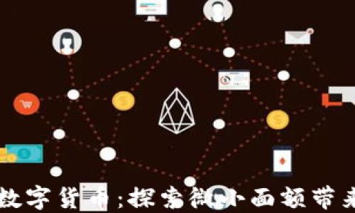 
面值最小的数字货币：探索微小面额带来的无限可能