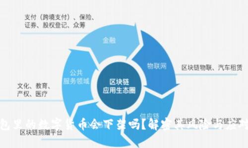 TP钱包里的数字货币会下架吗?解密其风险与应对策略