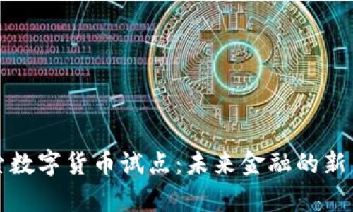 探索数字货币试点：未来金融的新篇章