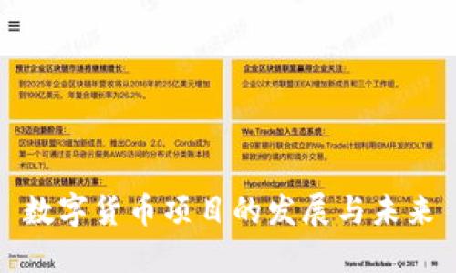 数字货币项目的发展与未来