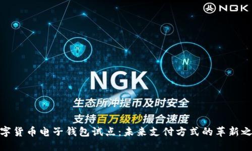 数字货币电子钱包试点：未来支付方式的革新之路