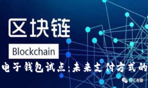 数字货币电子钱包试点：未来支付方式的革新之路