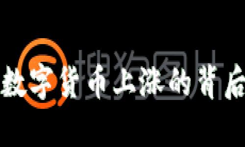 揭秘数字货币上涨的背后因素
