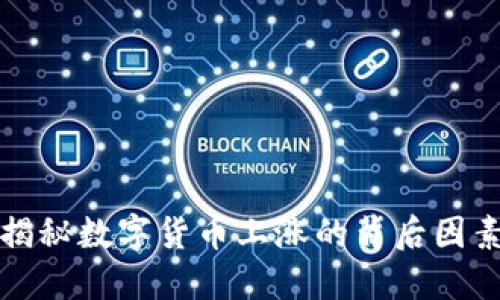 揭秘数字货币上涨的背后因素