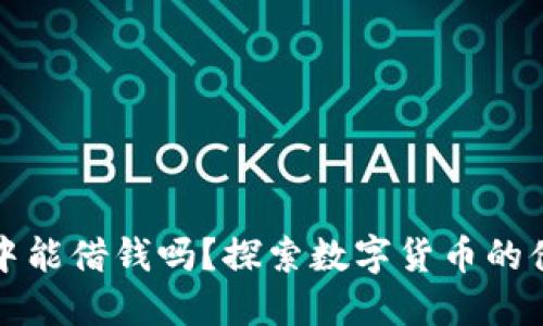 在TP钱包中能借钱吗？探索数字货币的借贷新方式