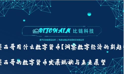 墨西哥用什么数字货币？洞察数字经济的新趋势

墨西哥的数字货币发展现状与未来展望