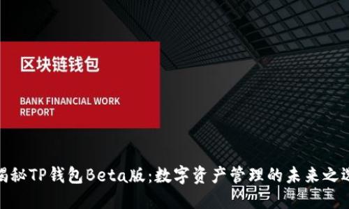 揭秘TP钱包Beta版：数字资产管理的未来之选