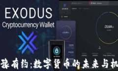 鲁豫有约：数字货币的未来与机遇