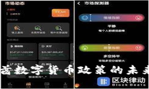 阿联酋数字货币政策的未来展望
