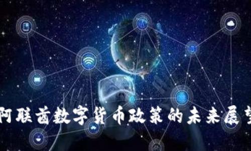 阿联酋数字货币政策的未来展望
