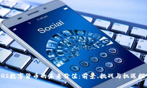 BGS数字货币的未来价值：前景、挑战与机遇探索