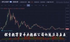 探索数字货币大数据公司的魅力与未来