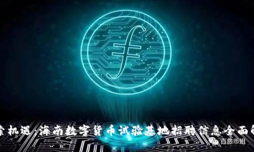 探索机遇：海南数字货币试验基地招聘信息全面解析