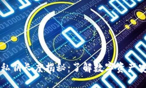 以太坊钱包私钥长度揭秘：了解数字资产安全的第一步