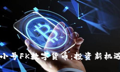 深入了解非小号FK数字货币：投资新机遇与风险解析