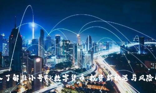 深入了解非小号FK数字货币：投资新机遇与风险解析