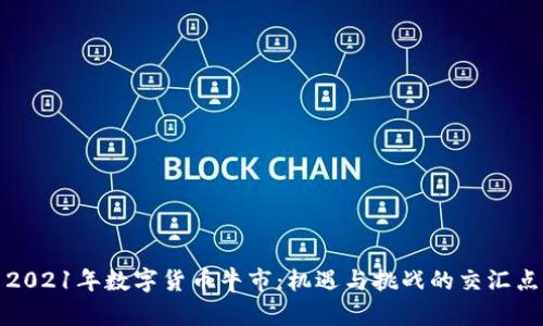 2021年数字货币牛市：机遇与挑战的交汇点