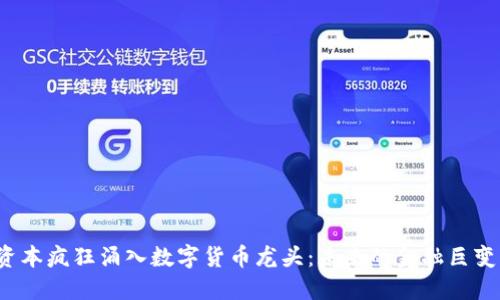 资本疯狂涌入数字货币龙头：未来的金融巨变？
