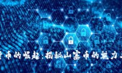 数字货币的崛起：揭秘山寨币的魅力与