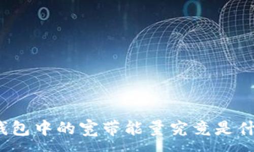 :
TP钱包中的宽带能量究竟是什么?