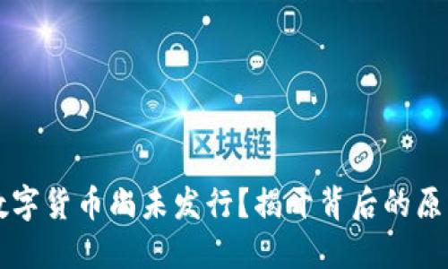 为什么数字货币尚未发行？揭开背后的原因与挑战