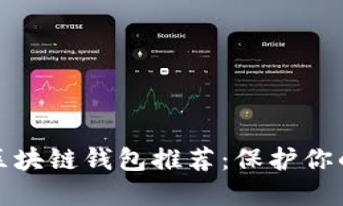 最安全的区块链钱包推荐:保护你的数字资产
