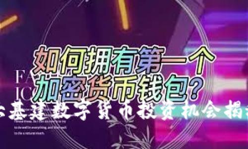 大基建数字货币投资机会揭秘