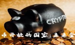 全球数字货币开放的国家：未来金融的