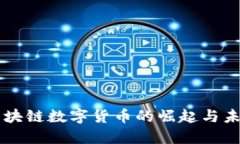 鄢傲区块链数字货币的崛起与未来展望
