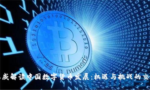 权威解读中国数字货币发展：机遇与挑战的交织