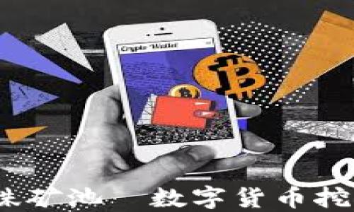 
精彩探索：蜘蛛矿池—数字货币挖矿的未来之路