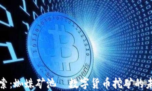 
精彩探索：蜘蛛矿池—数字货币挖矿的未来之路