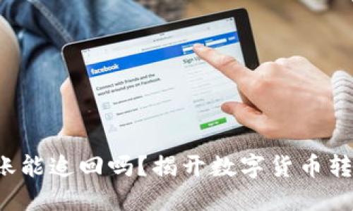 TP钱包转账能追回吗？揭开数字货币转账的秘密！