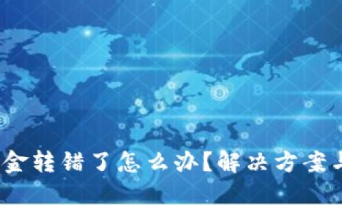 :TP钱包资金转错了怎么办?解决方案与经验分享