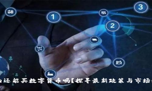 国内还能买数字货币吗?探寻最新政策与市场动向