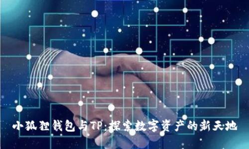 小狐狸钱包与TP:探索数字资产的新天地