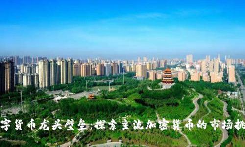 数字货币龙头壁垒：探索主流加密货币的市场挑战