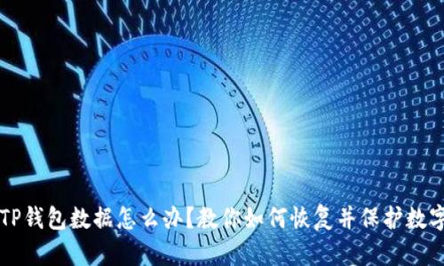 误删TP钱包数据怎么办？教你如何恢复并保护数字资产