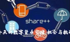 今天的数字货币市场：机会与挑战
