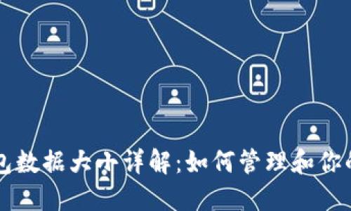以太坊钱包数据大小详解：如何管理和你的数字资产