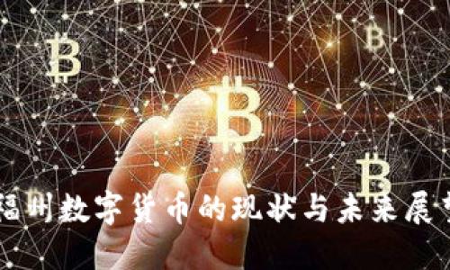 福州数字货币的现状与未来展望